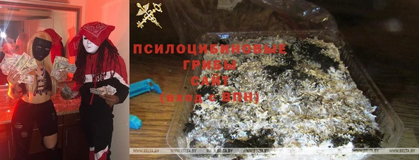 хмурый Лагань