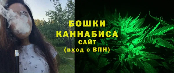 хмурый Лагань