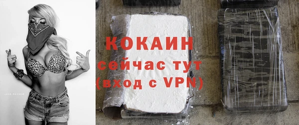 хмурый Лагань