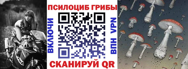 Галлюциногенные грибы GOLDEN TEACHER  Александровское 
